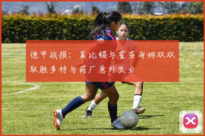 德甲战报：莱比锡与霍芬海姆双双取胜多特与药厂意外失分