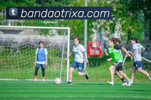 半岛体育品牌故事