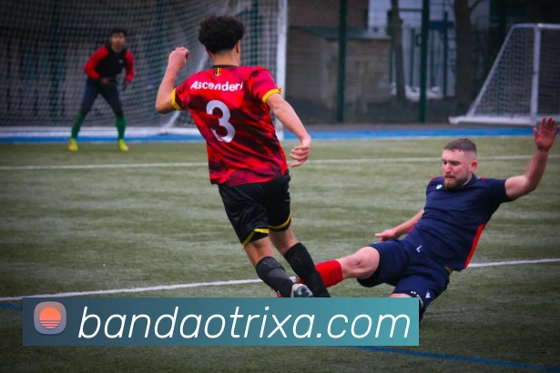 半岛体育服务体系